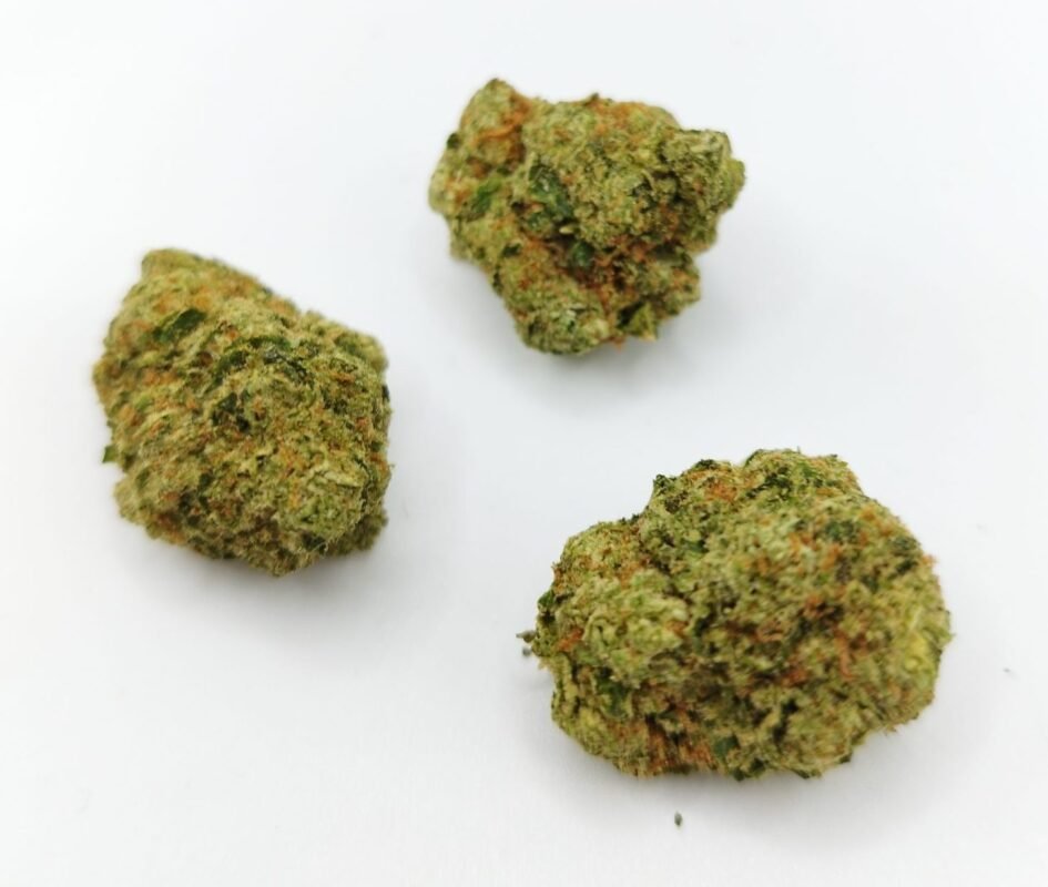 biscotti strain