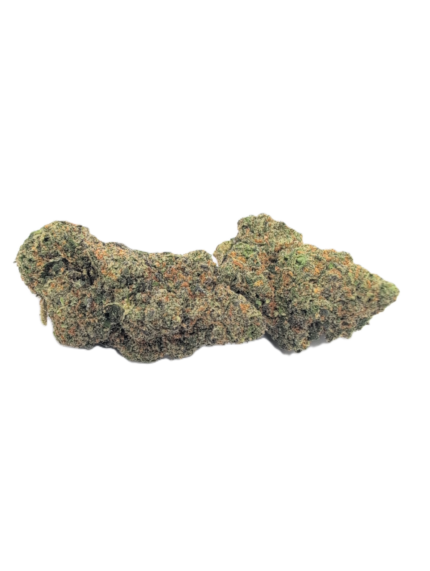 Buy Biscotti Strain