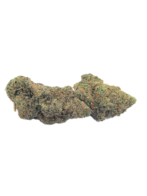 Buy Biscotti Strain