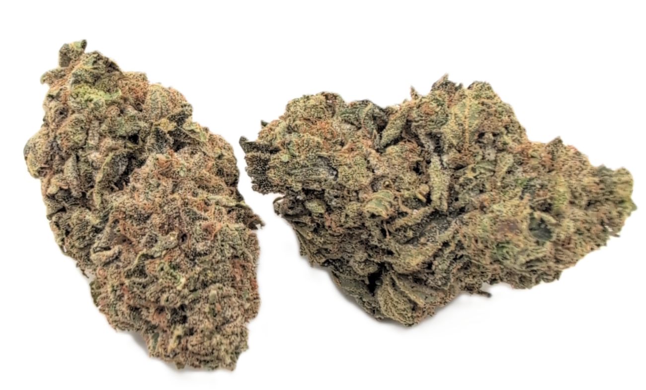 Critical Cheese strain