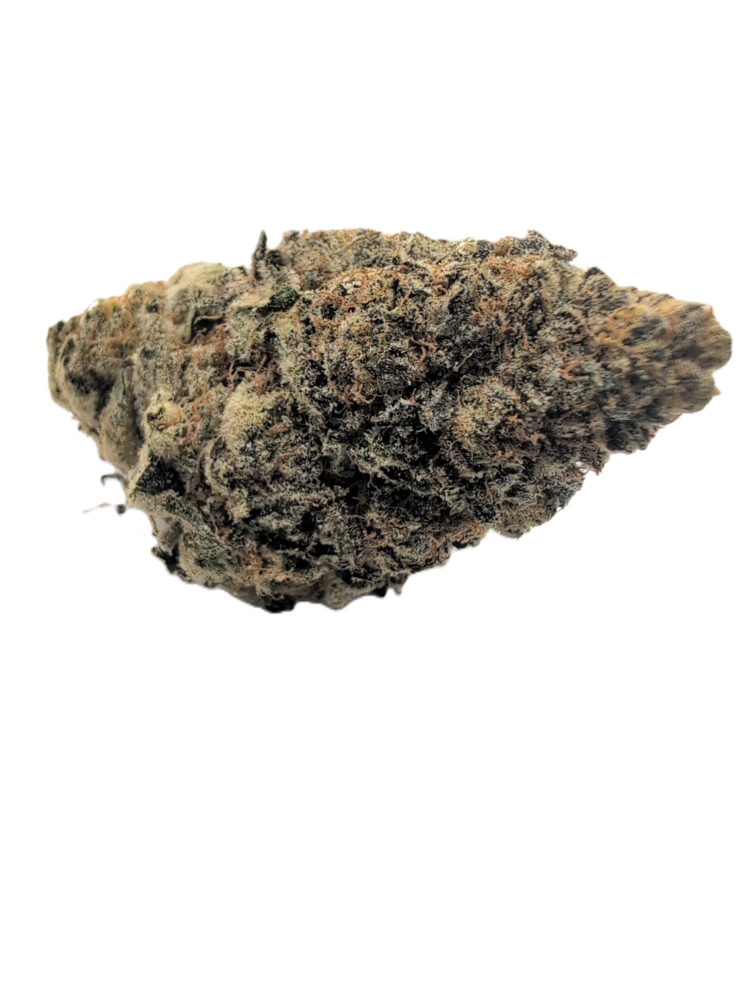 Melonade Buy Melonade strain