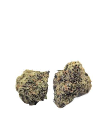 Blackberry Gary