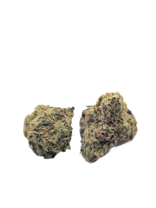 Blackberry Gary