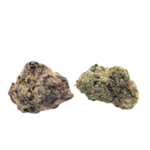 Blue Lobster Strain