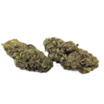 Gelato 45 Strain