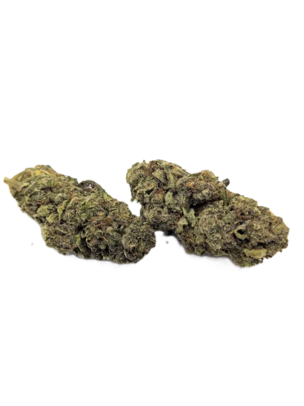 Gelato 45 Strain