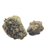 Moon Fog strain