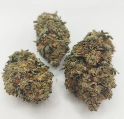 Stardawg Strain