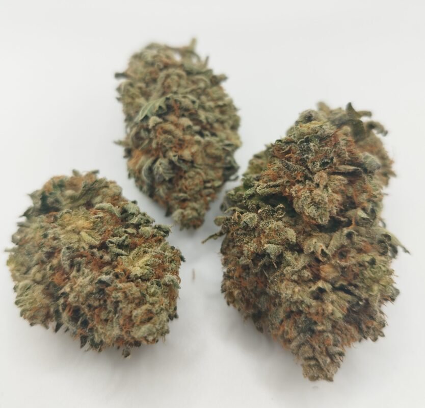 Stardawg Strain