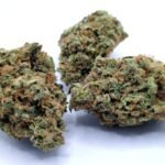 Super Silver Haze