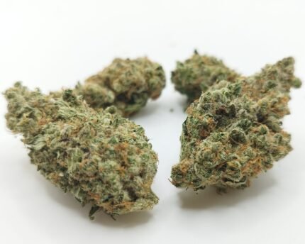 White Truffle strain