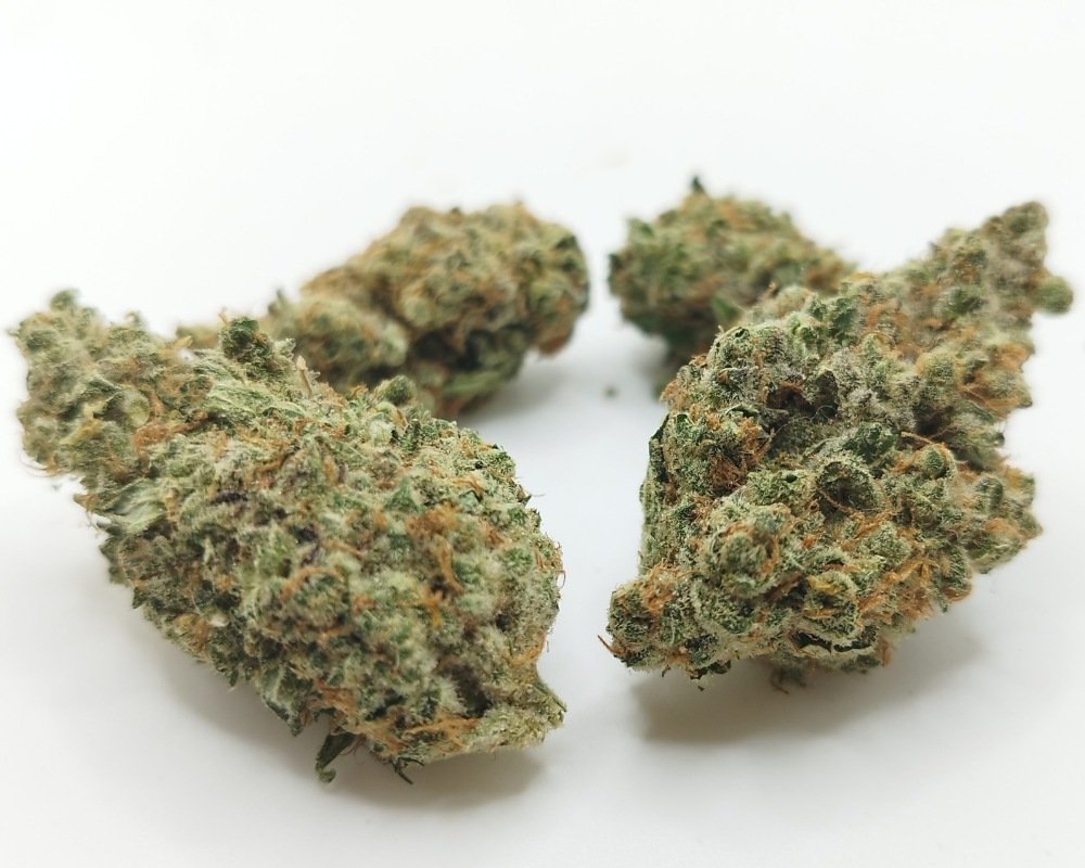 White Truffle strain