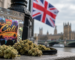 uk cannabis scam